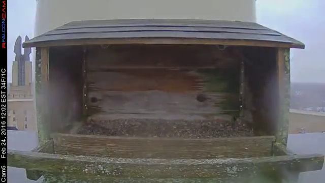 Camera 5 - 02/24/16 смотреть онлайн