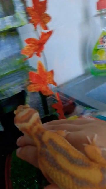 геккон лео смотреть онлайн