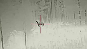 НА ЛАБАЗЕ С ТЕПЛОВИЗИОННЫМ ПРИЦЕЛОМ iRay Saim SCP 19W.