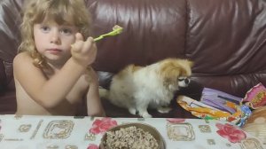 Человек собаке друг