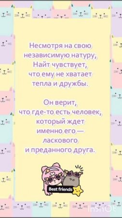 🐾💜 Ласковый котик Найт очень хочет стать домашним. 💜🐾