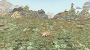 Лиса ест кролика. Но рысята съели лису. Shelter2