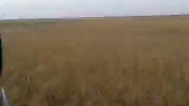 Охота на кабана. Казахстан смотреть онлайн