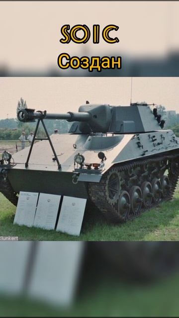 ветка леопарда 1 в реальной жизни #tanksbliz #bliz #wortbliz #shorts смотреть онлайн