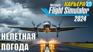 Microsoft Flight Simulator 2024  - Нелётная погода