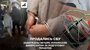 Продались СБУ. Задержаны четыре украинские диверсантки за подготовку терактов