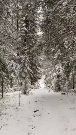 Малыш прилетел 🙆♂️