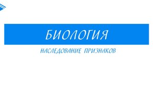 8 класс - Биология - Наследование признаков