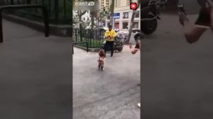 А я иду такая вся в дольче габбана