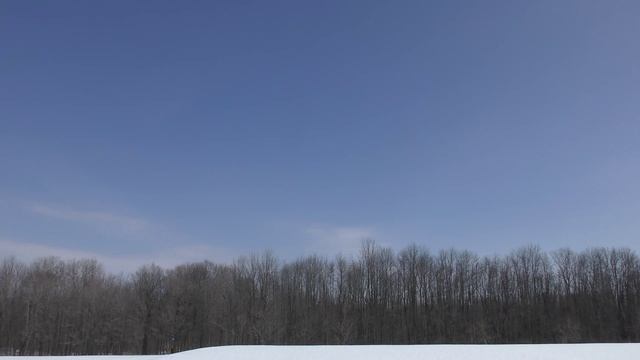 Syma X8W-Drone test flight @ the park-2-23-16 so now it has to get windy! Clip#2 смотреть онлайн