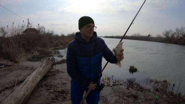 Крупный карась