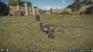 Jurassic World Evolution 2: (Modified) Dracorex vs Australovenator