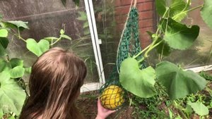 Дыня_Лиза Упс!