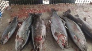 copy_40D142F9-6C6C-4FE0-BD87-B98541C58906