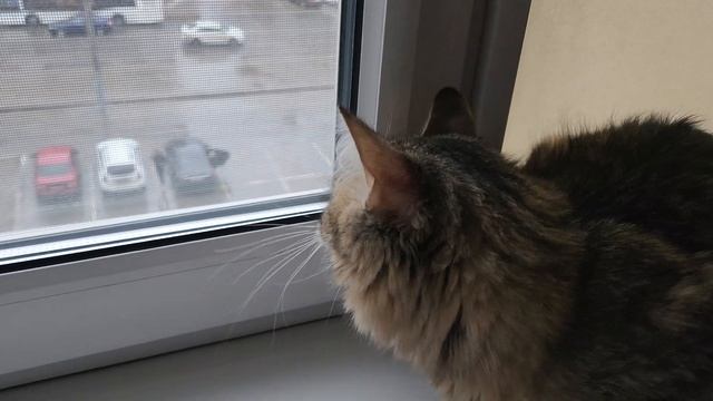 Возмущению нет предела!