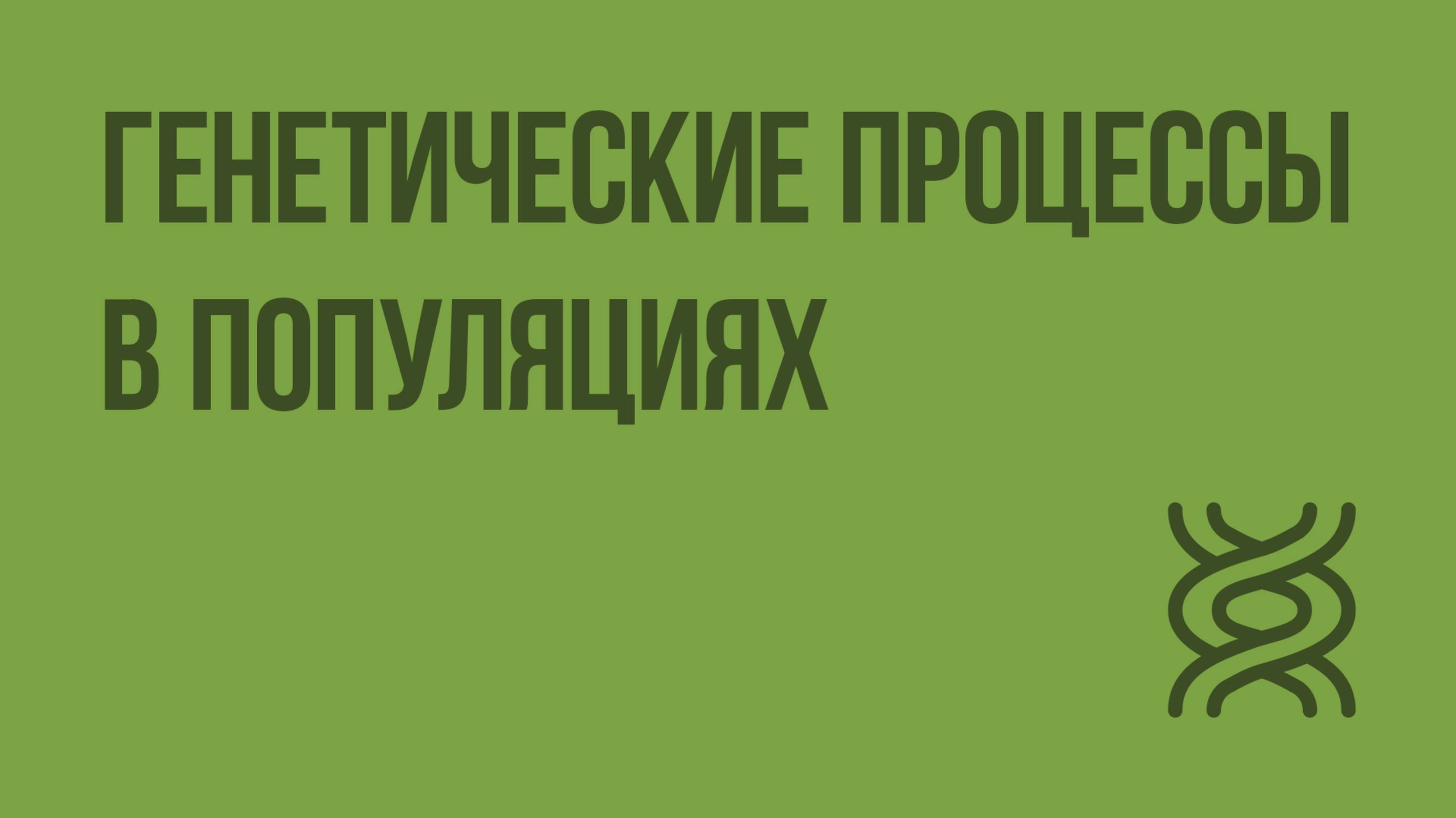 Генетические процессы в популяциях. Видеоурок по биологии 11 класс