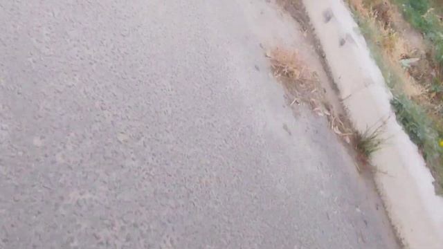 забираю посылку с вб