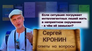 Кронин С. Если ситуация погружает людей жить в неприятном окружении, в чём её замысел?