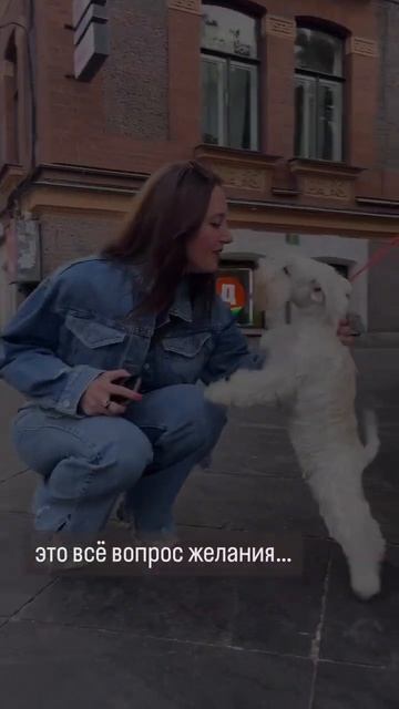 Сможешь или страшно?) Покажи тебя настоящего #смелостьбытьсобой#мотивация#действие#блог#лайфстайл