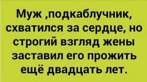 Встреча двух подкаблучников. (27.12.2024).