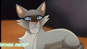 Синяя звезда Коты-воители песня "Cleopatra"