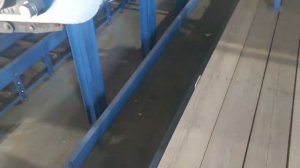 Обзор линии лесопиления производительностью до 220 м куб в смену