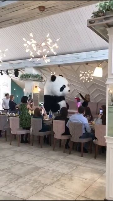 Ростовой медведь-панда смотреть онлайн