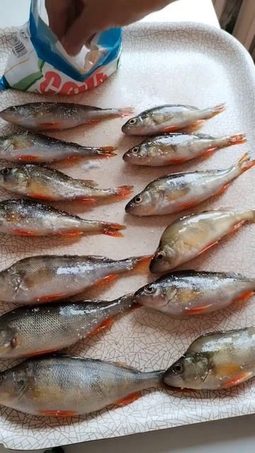 Вяленый окунь. Простой и быстрый рецепт. смотреть онлайн