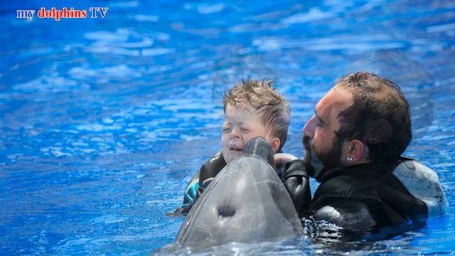 Rico`s Delfin unterstützte Therapie смотреть онлайн