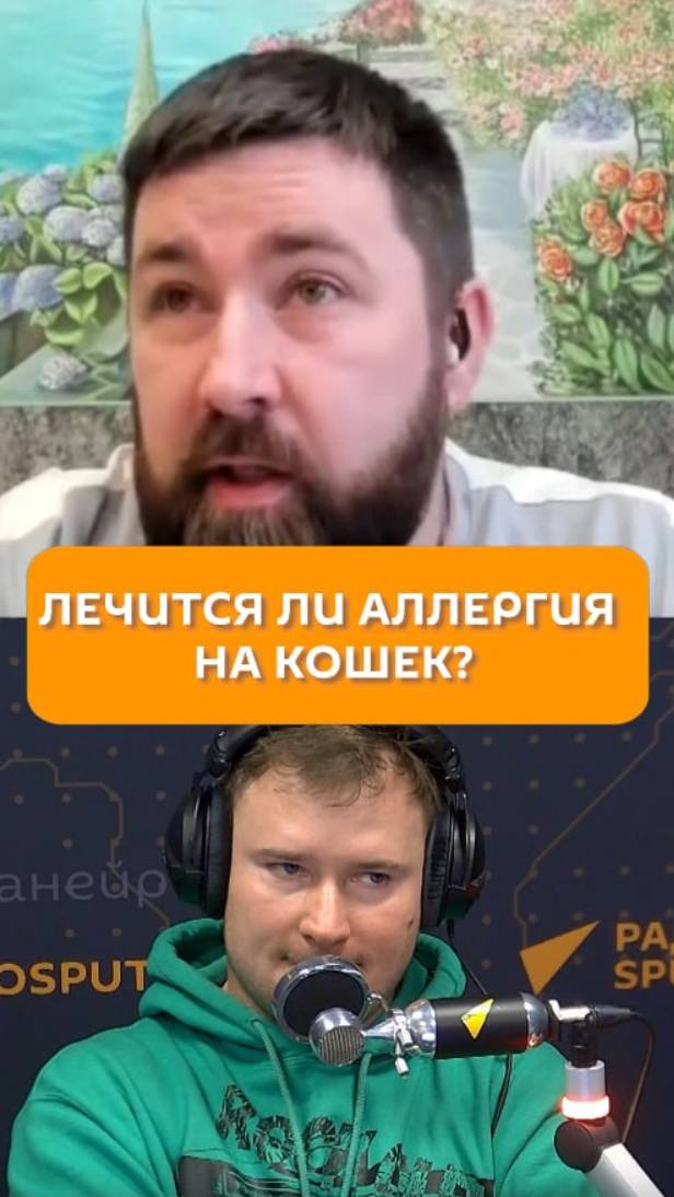 Лечится ли аллергия на кошек?
