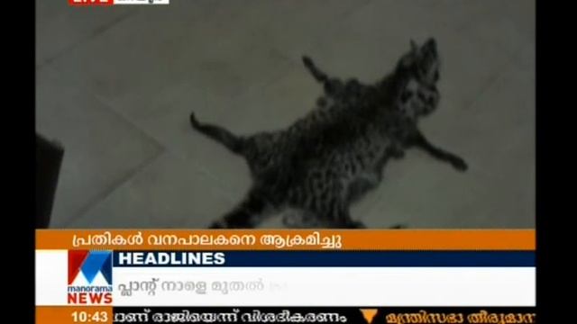 Three held for hunting Viverra  | Manorama News