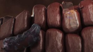 Портфолио компьютерной графики