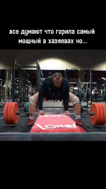 Данилла ГОРИЛЛА #даниллагорилла #хазяева #кореш