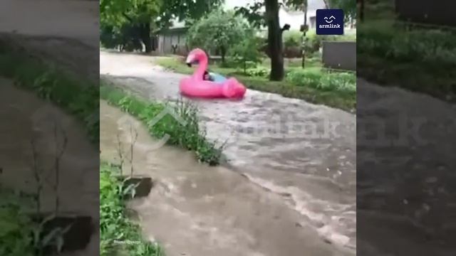 АРМЯНИН-СТУДЕНТ НА РОЗОВОМ ФЛАМИНГО ПЛАВАЛ ПО ЗАТОПЛЕННЫМ УЛИЦАМ ПЯТИГОРСКА
