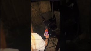 Смешные видео 
Приколы