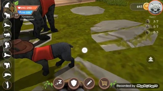 Играю в ваилд крафт смотреть онлайн