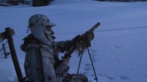 Манок на лиса НОРДИК МІНІ ПРЕДАТОР  Nordik Mini Predator