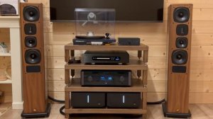 Как звучат кабели: Purist Audio Design Musaeus BiWire Diamond Revision 2.0m ban-ban