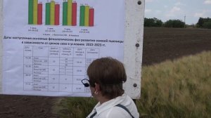 Сроки сева озимых зерновых в условиях Крыма