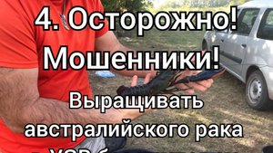 4. Осторожно, Мошенники!