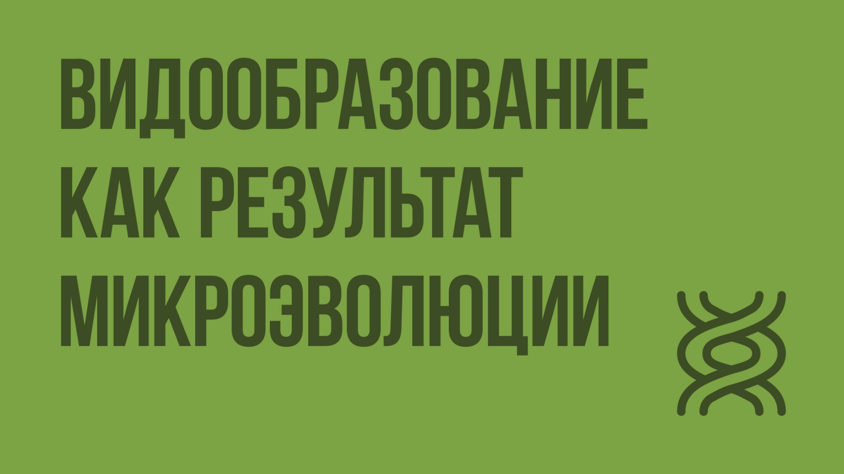 Видообразование как результат микроэволюции. Видеоурок по биологии 11 класс