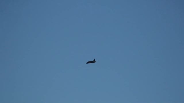 GIANT ALBATROS AERO L-39 SCALE TURBINE RC JET MODEL JWM LEUTKIRCH TEAM GERMANY смотреть онлайн