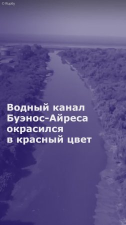 Водный канал Буэнос-Айреса окрасился в красный цвет