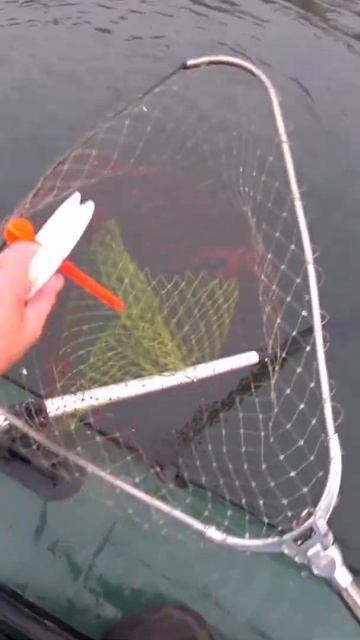 ЩУКА НА ЖИВЦА! смотреть онлайн