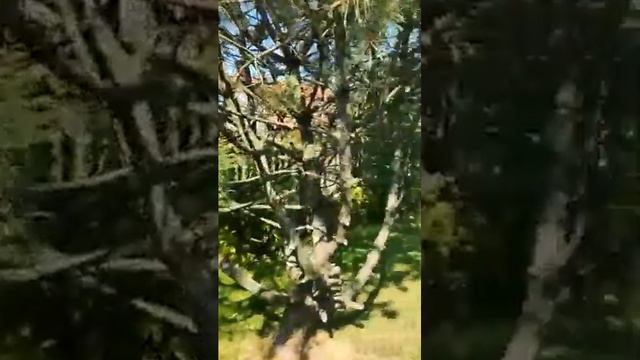 video b3ef0010 eaeb 41a9 ad5e f6a07bb800f7 1662795150 смотреть онлайн