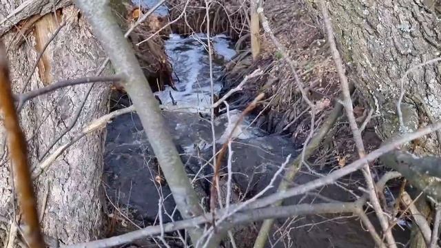 Забытая деревня. Мост в цивилизацию с большой земли. смотреть онлайн