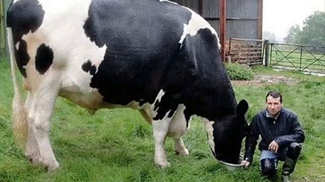 Всего самого большого смотреть онлайн