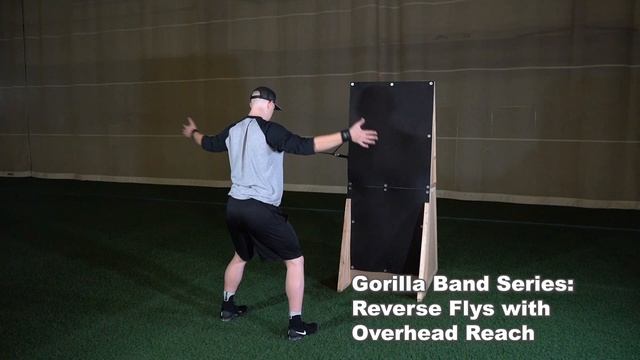 Silverback Sports Gorilla Band Series - Reverse Fly's With Overhead Reach смотреть онлайн