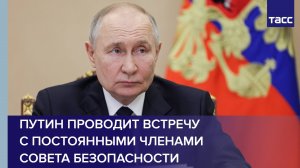 Путин проводит встречу с постоянными членами Совета Безопасности