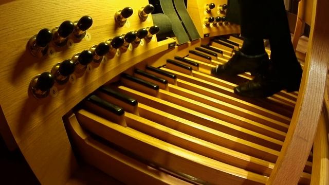 FLIGHT OF THE BUMBLEBEE - THE ORGAN OF SYMPHONY HALL BIRMINGHAM смотреть онлайн